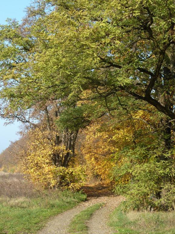 Gospodarstwo Agroturystyczne Lesniczowka Lubin  Exterior foto