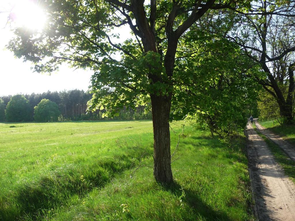 Gospodarstwo Agroturystyczne Lesniczowka Lubin  Exterior foto