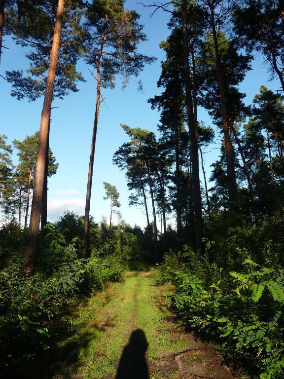 Gospodarstwo Agroturystyczne Lesniczowka Lubin  Exterior foto